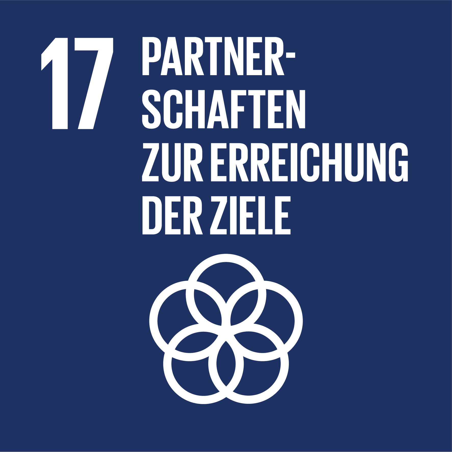 SDG Ziel17
